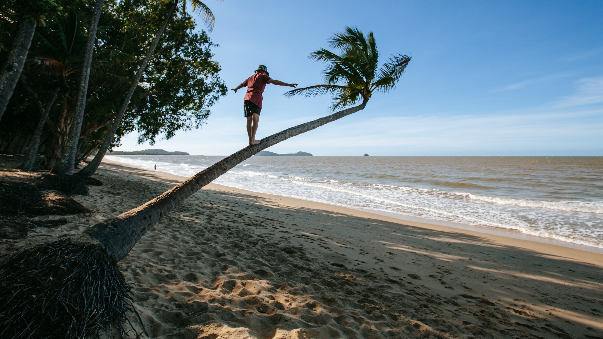 Clifton Beach which includes general coastal views, tropical scenes and a beach