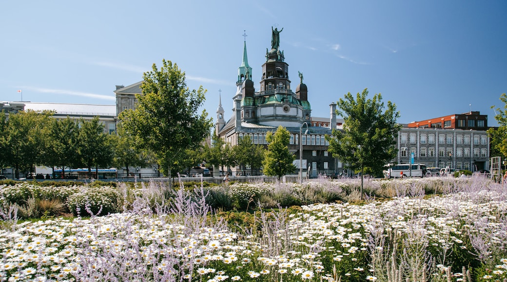 Old Montreal showing heritage architecture and wildflowers
