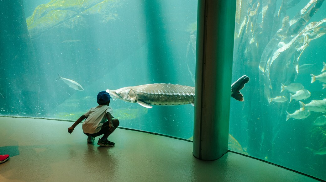Montreal Biodome