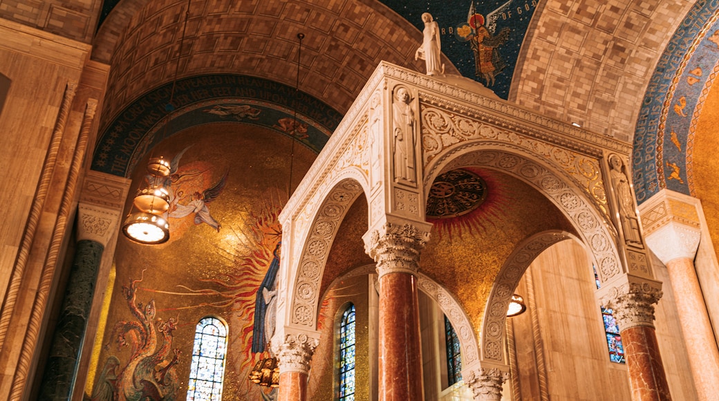 Basílica del Santuario Nacional de la Inmaculada Concepción