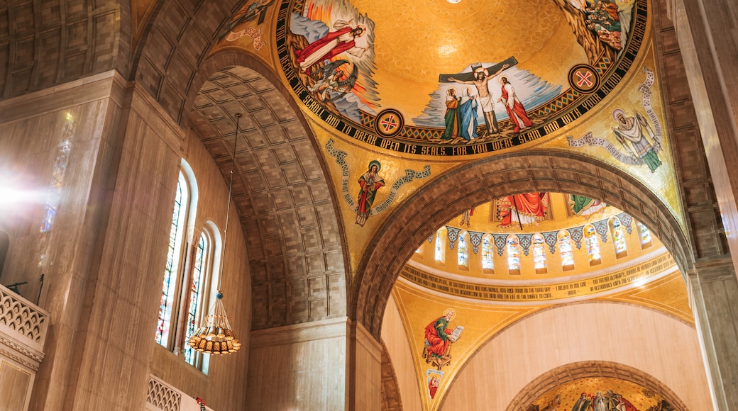 Basílica del Santuario Nacional de la Inmaculada Concepción