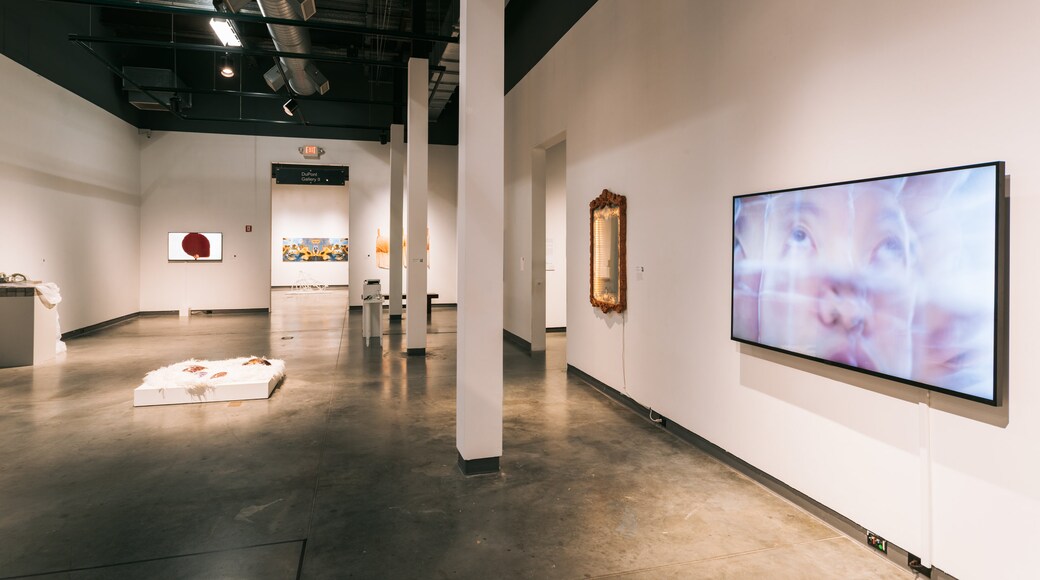 Centro de arte contemporáneo de Delaware