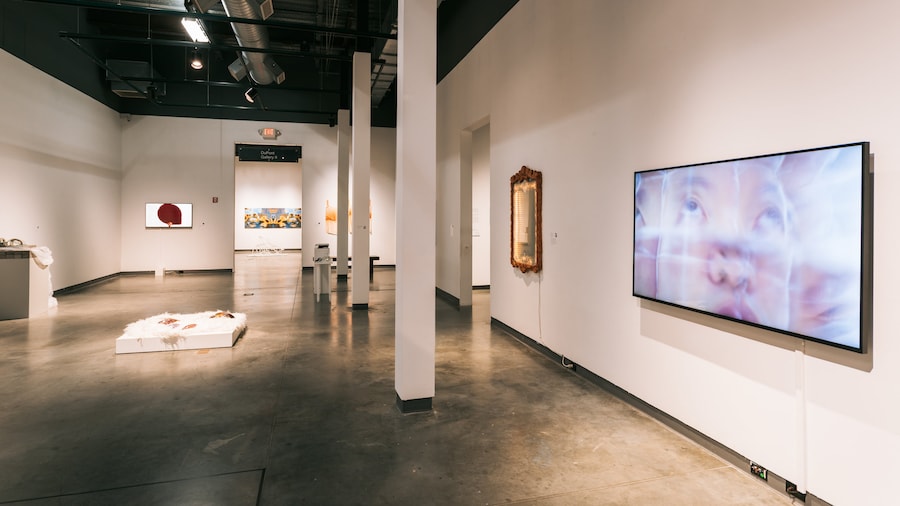 Centre d'art contemporain du Delaware
