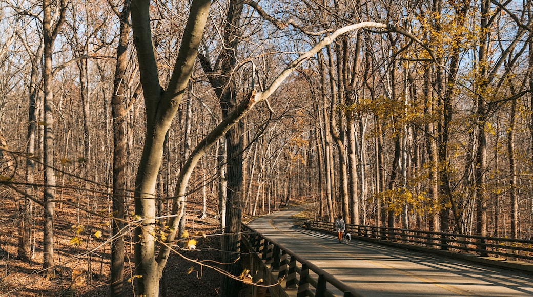 Parque Rock Creek
