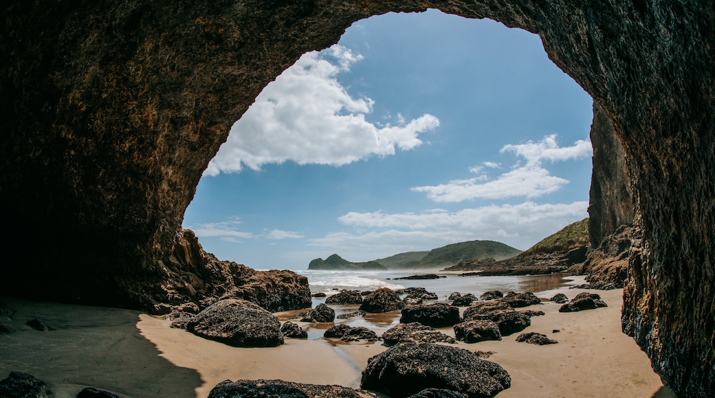 Bethells Beach