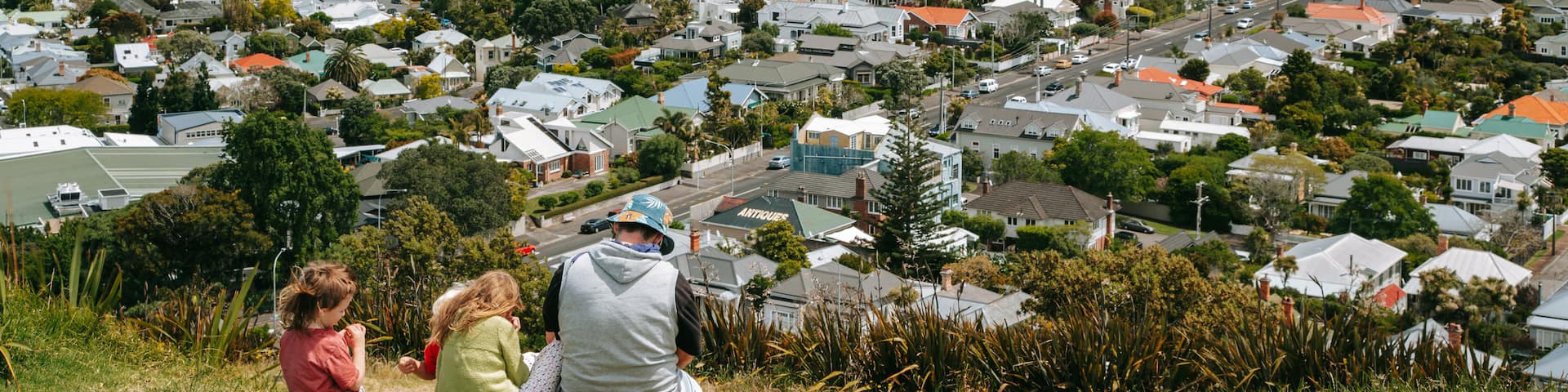 Mount Victoria which includes views, a city and landscape views