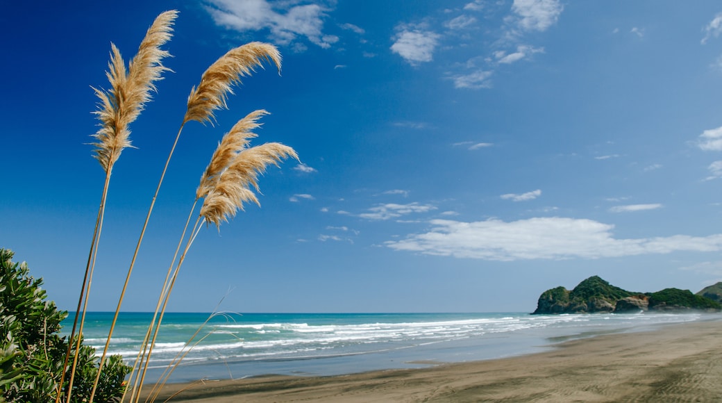 Bethells Beach