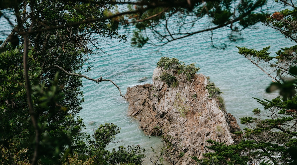 懷希基島