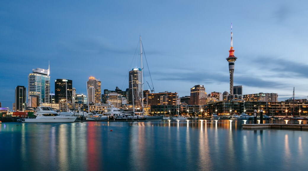 Viaduct Harbour