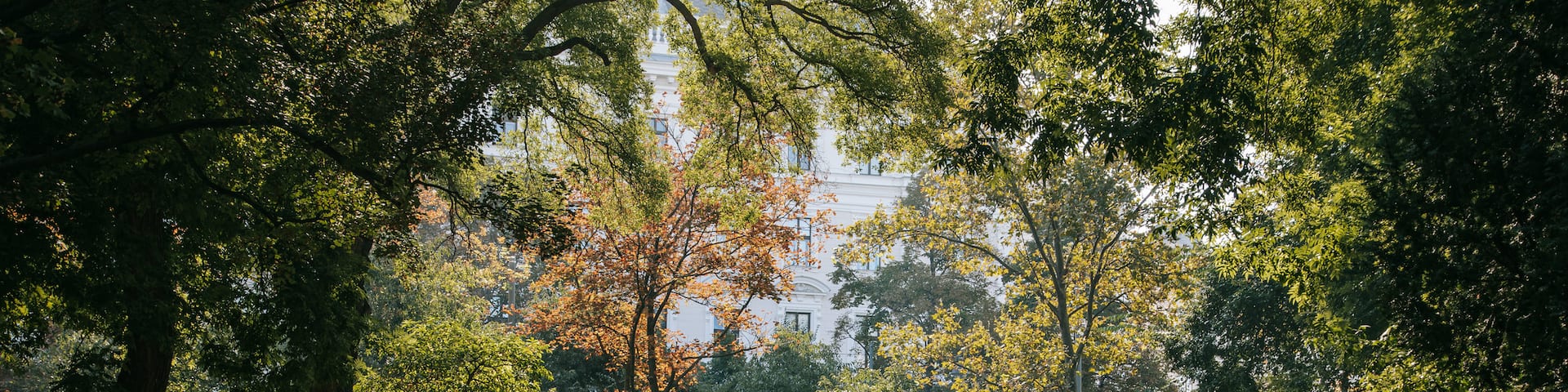 Rathauspark which includes a garden as well as a couple