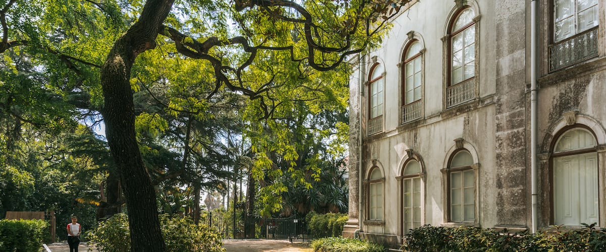 Jardim Botânico Tropical featuring heritage elements and a garden