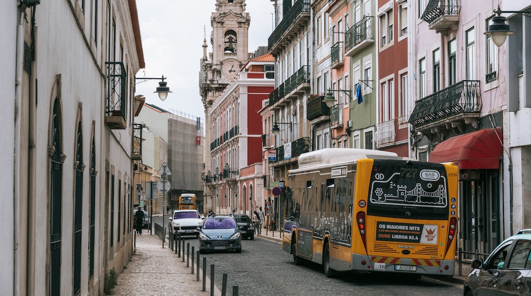 Lapa