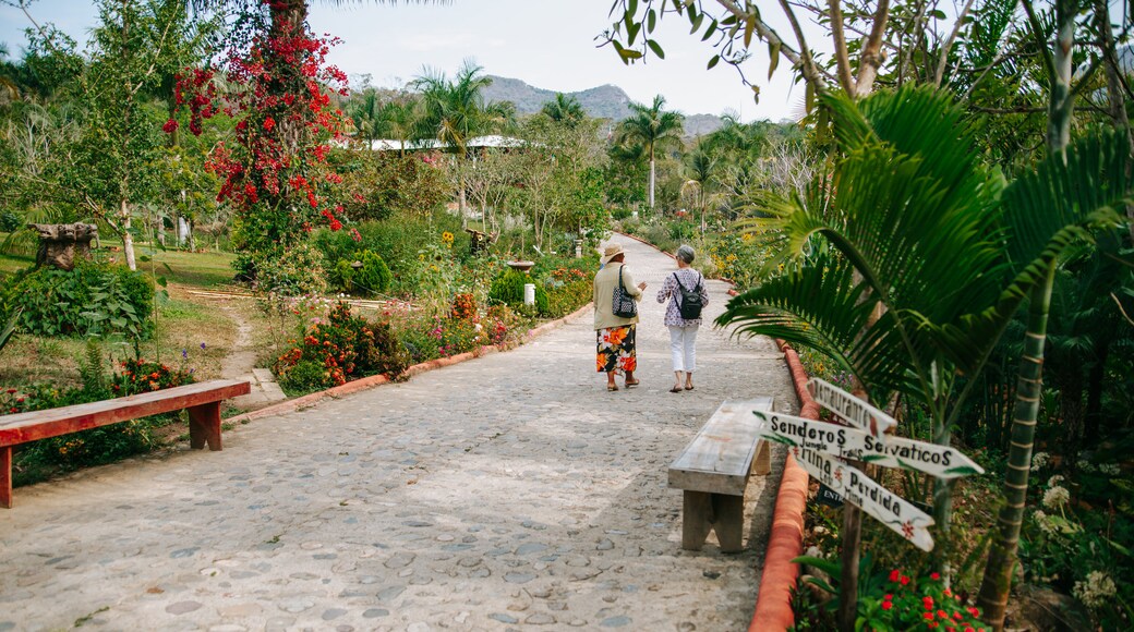 JardĂn BotĂĄnico de Puerto Vallarta