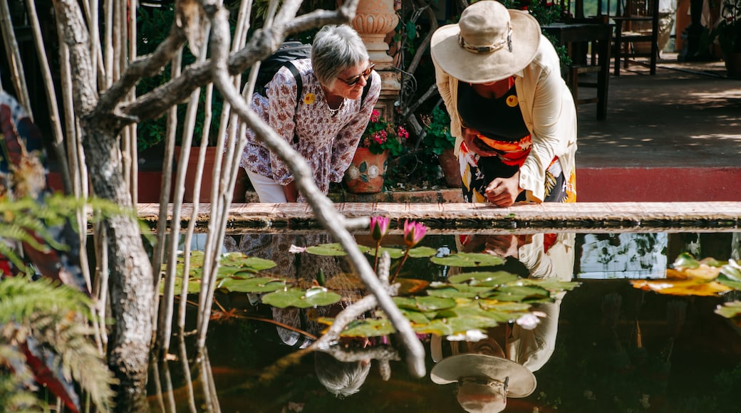 JardĂn BotĂĄnico de Puerto Vallarta