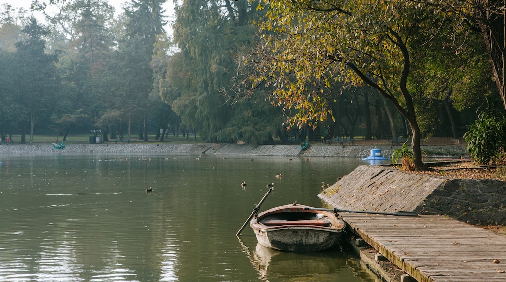 Chapultepec Park showing a lake or waterhole