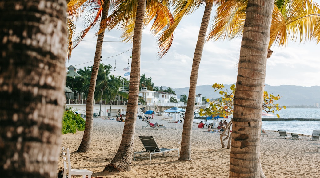 Doctor's Cave Beach