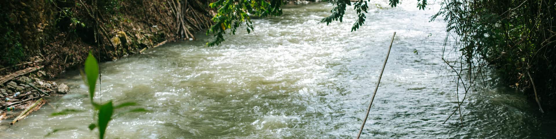 Martha Brae River showing a river or creek and kayaking or canoeing as well as an individual male