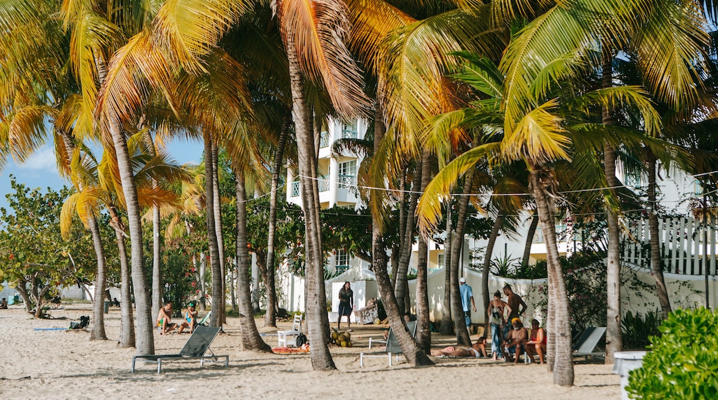 Doctor's Cave Beach