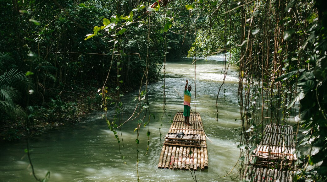 Martha Brae River