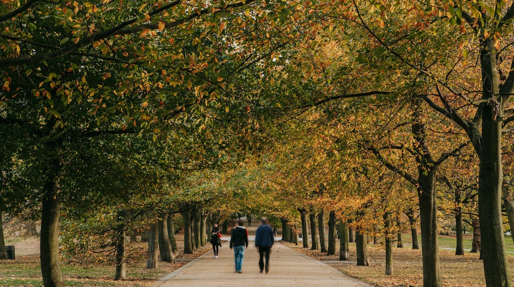Parque de Greenwich