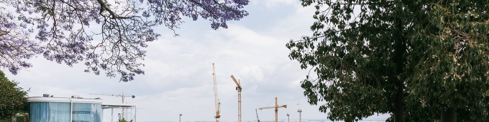 Lapa featuring views and wildflowers as well as a couple