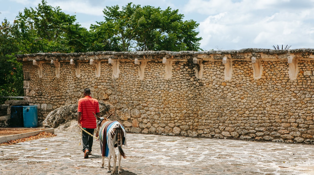 Altos de Chavon Village