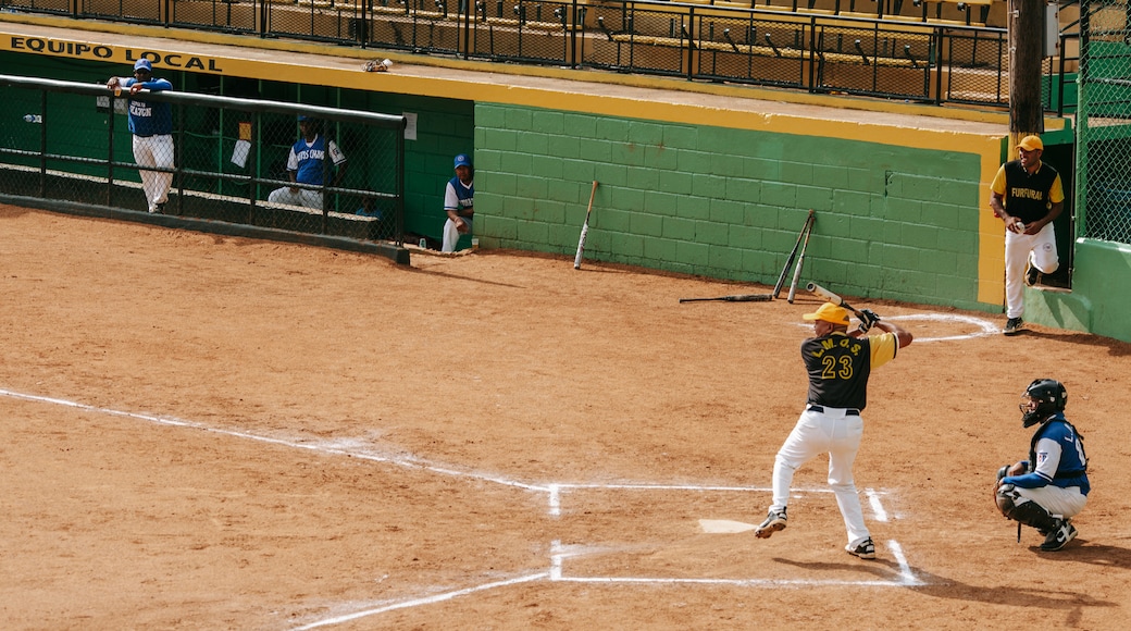 La Romana featuring a sporting event as well as an individual male