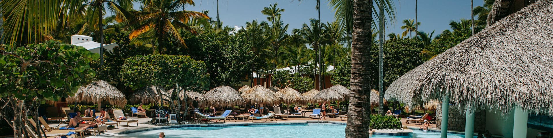 Arena Gorda Beach showing swimming, tropical scenes and a pool
