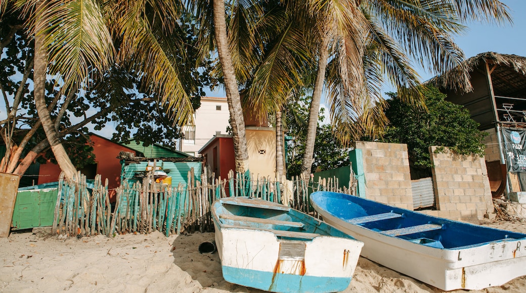 Bayahíbe showing tropical scenes and a sandy beach