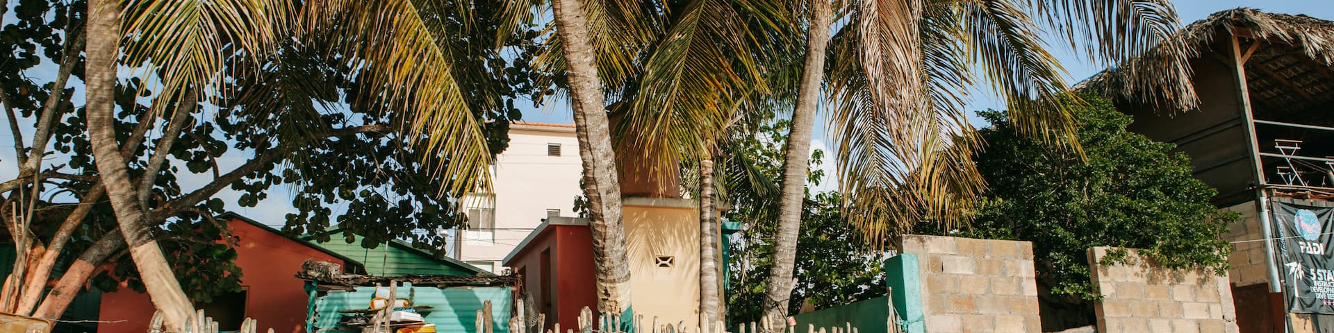 Bayahíbe showing tropical scenes and a sandy beach