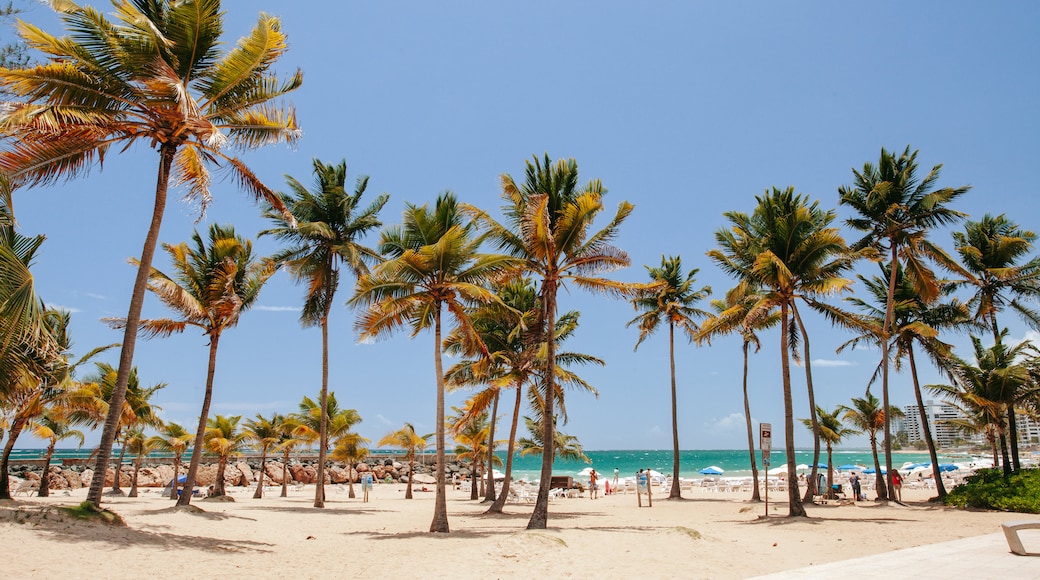 Condado Beach which includes tropical scenes, a sandy beach and general coastal views