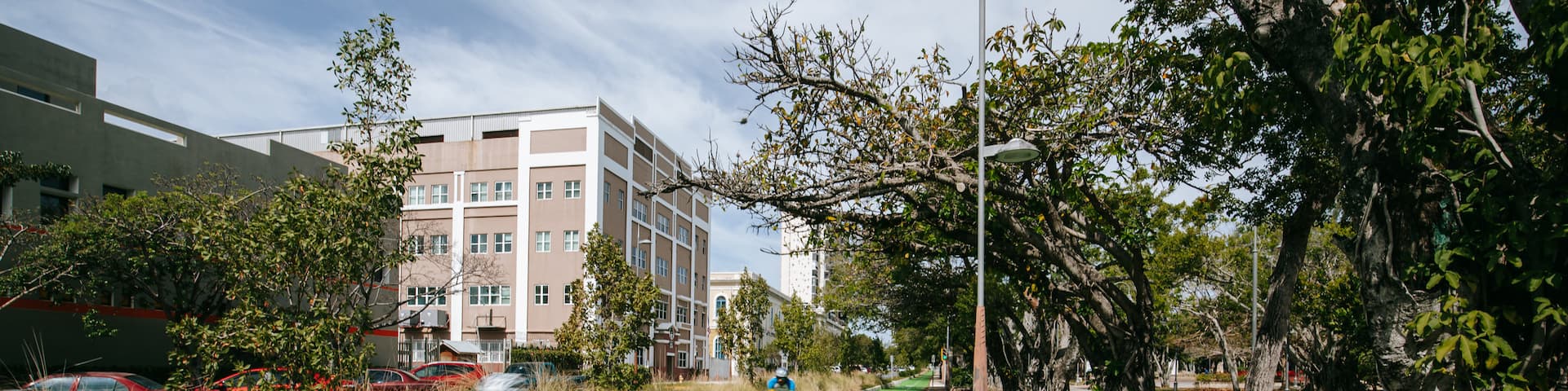 Luis Muñoz Rivera Park showing cycling