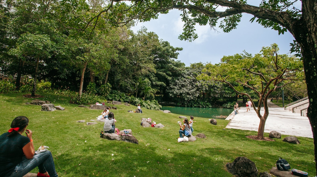 Museo de Arte de Puerto Rico