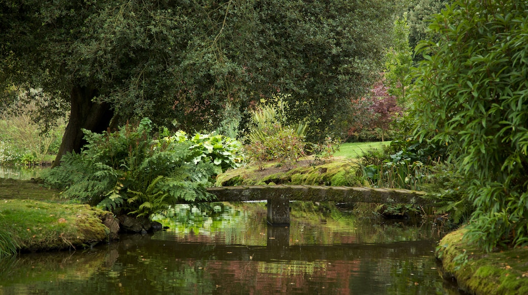 Mount Stewart