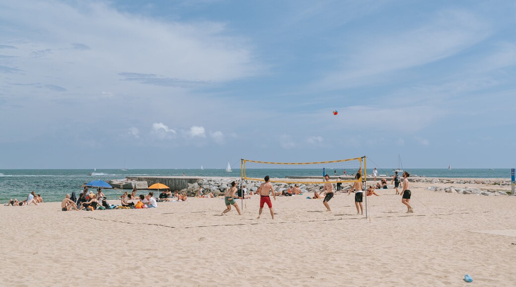 Pantai Bogatell