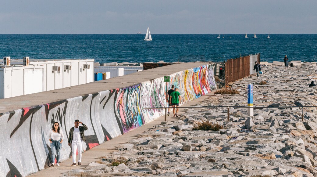 Llevant Beach