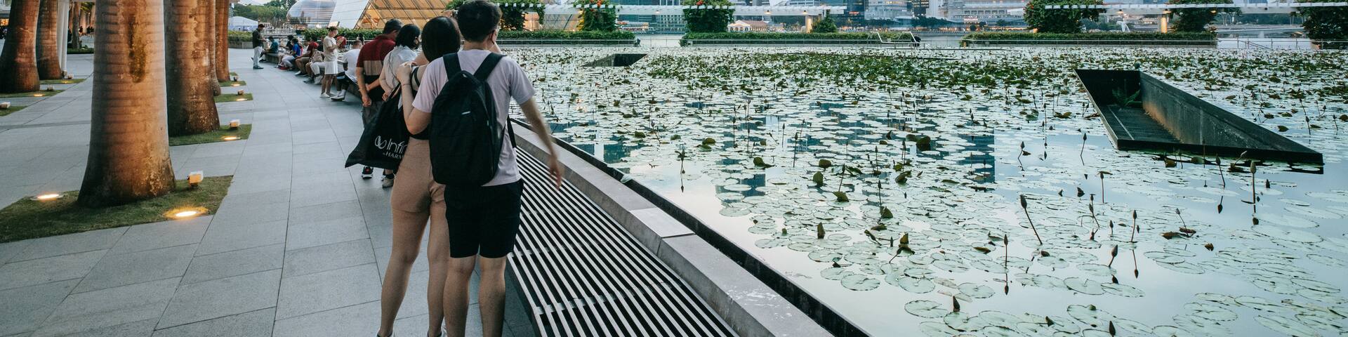 ArtScience Museum which includes a pond and a city as well as a couple