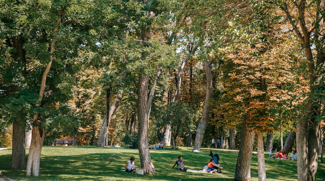 Công viên El Retiro