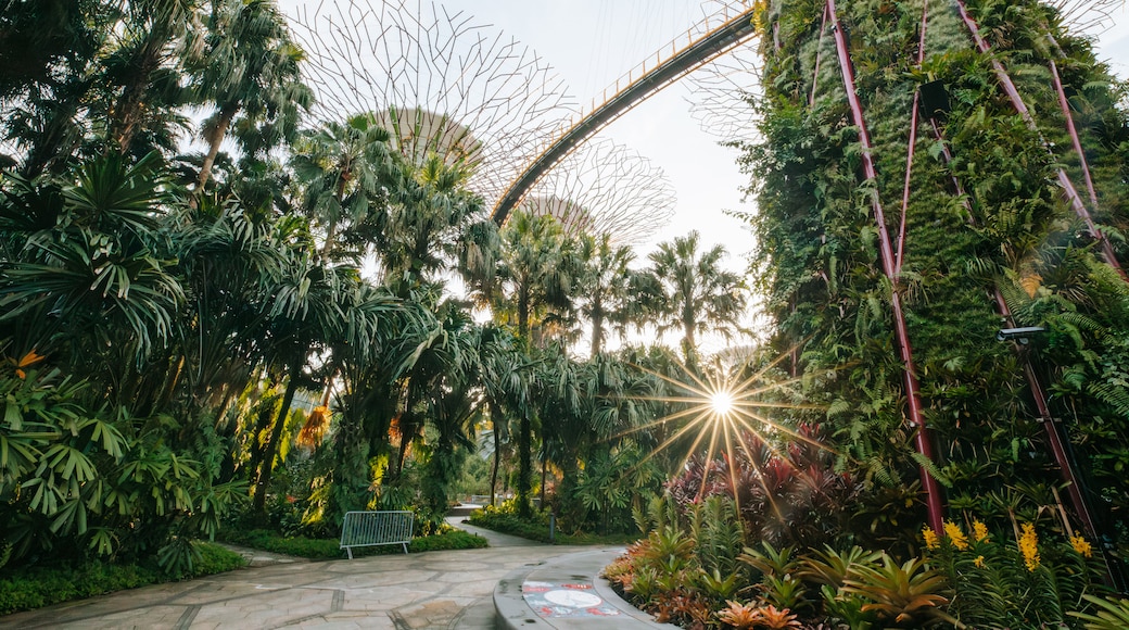 Singapur