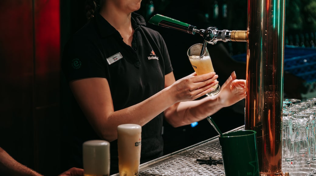 Heineken Experience