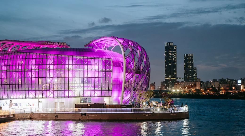 Taman Banpo Hangang