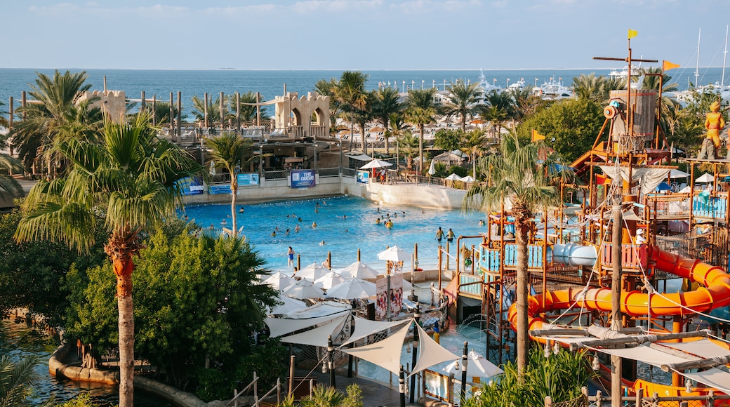 Parc aquatique Wild Wadi Water Park