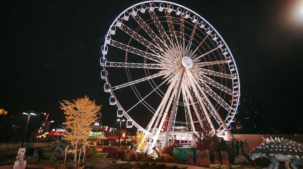 Ruota panoramica del Niagara