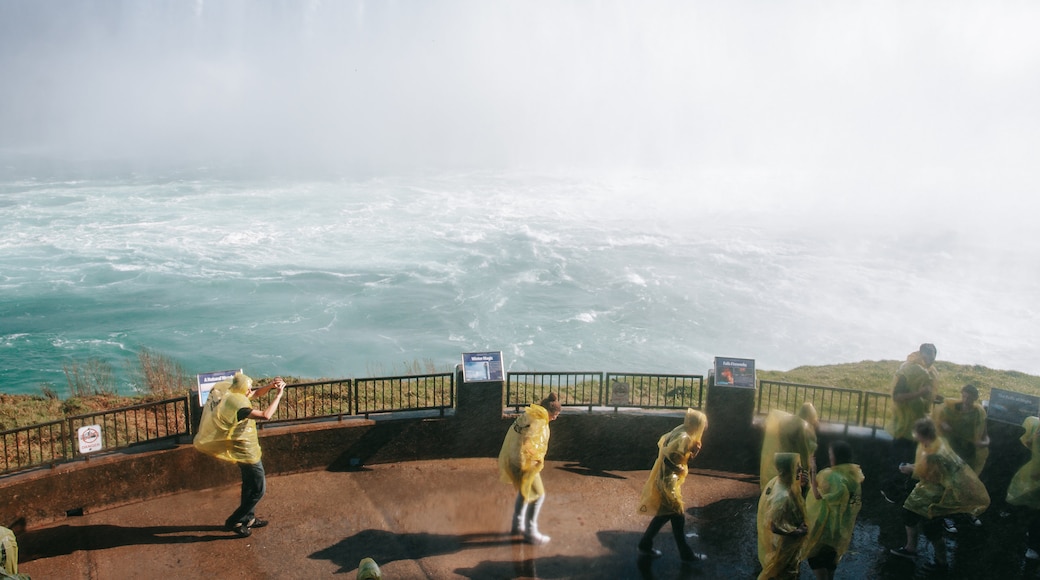 Horseshoe Falls
