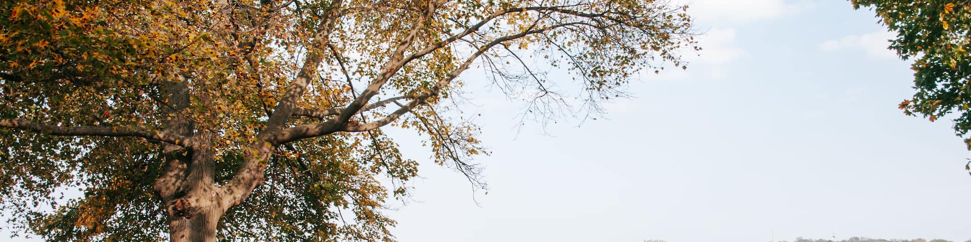 Niagara-on-the-Lake showing general coastal views, a garden and fall colors