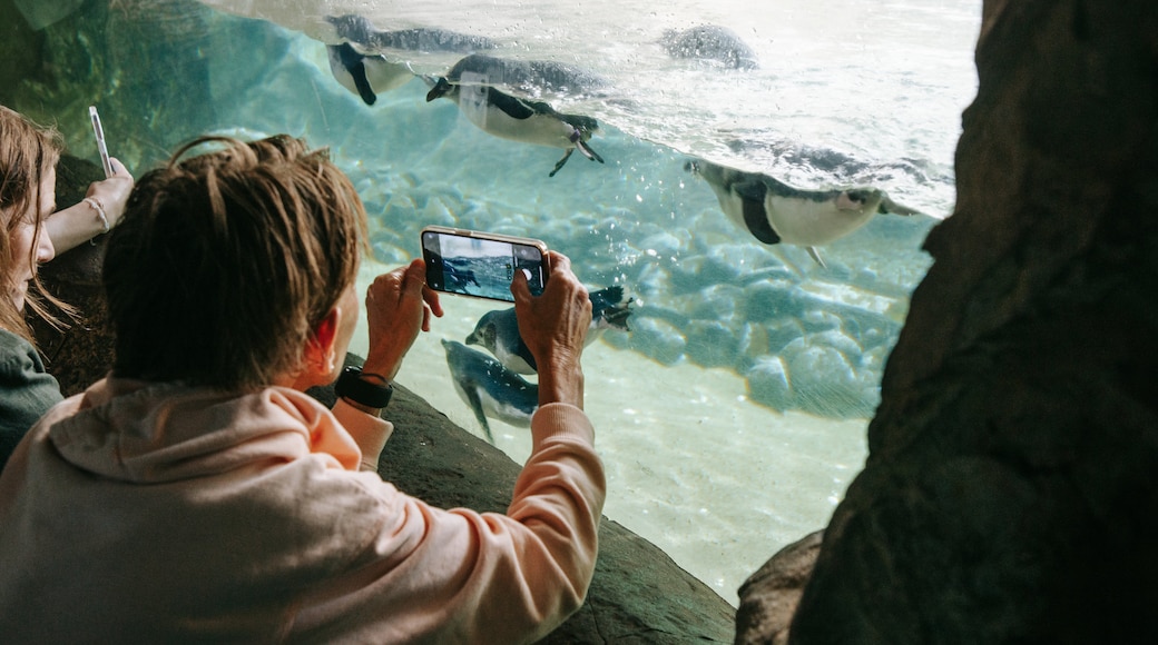 SEA LIFE Sydney Aquarium