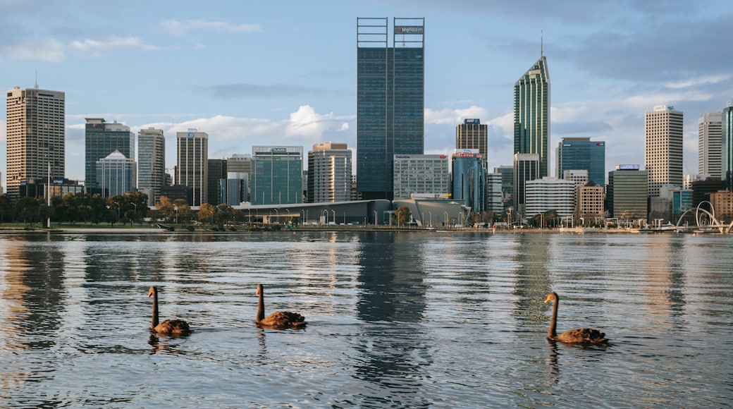 Perth Central Business District