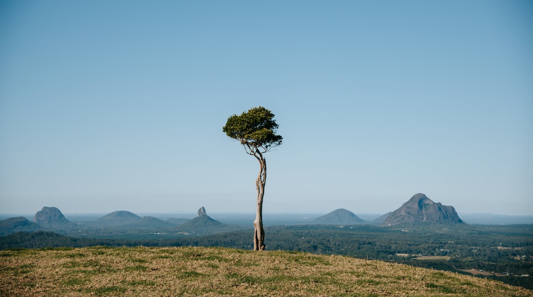 Jardines botánicos de Maleny
