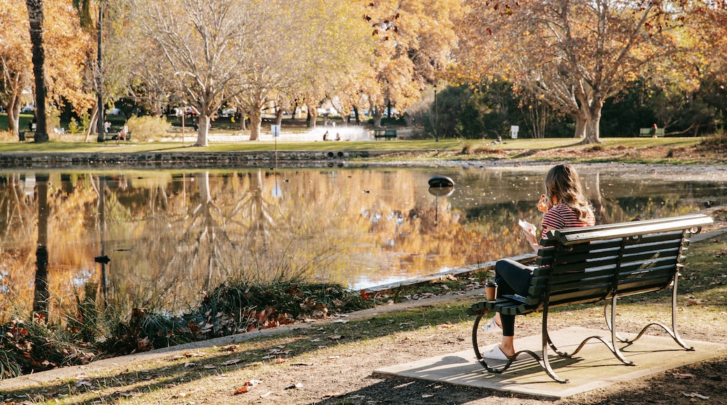 Hyde Park