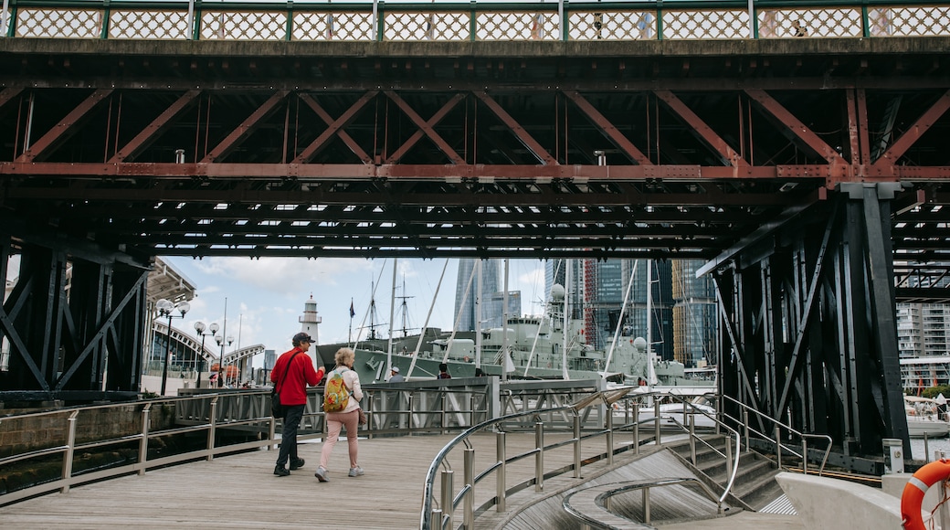 Pyrmont Bridge